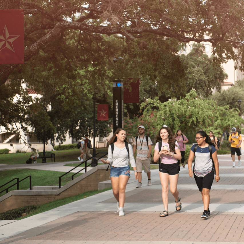 Khám Phá Các Chuyên Ngành Cử Nhân Đa Dạng Dành Cho Sinh Viên Quốc Tế tại Đại học Bang Texas (TXST)